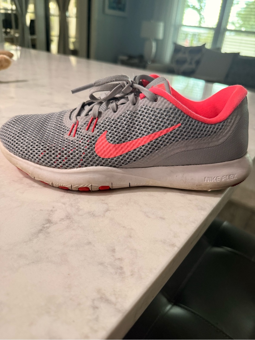 Nike Women’s Grey and Pink Mesh Running Shoes